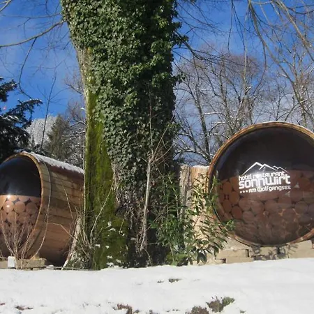 酒店 Sonnwirt